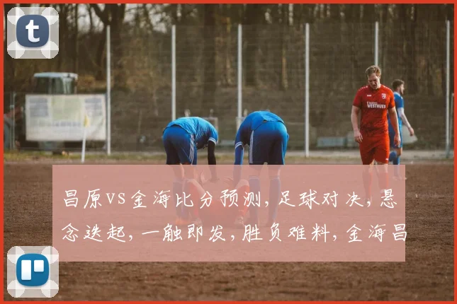 昌原vs金海比分预测,足球对决,悬念迭起,一触即发,胜负难料,金海昌原谁能笑到最后